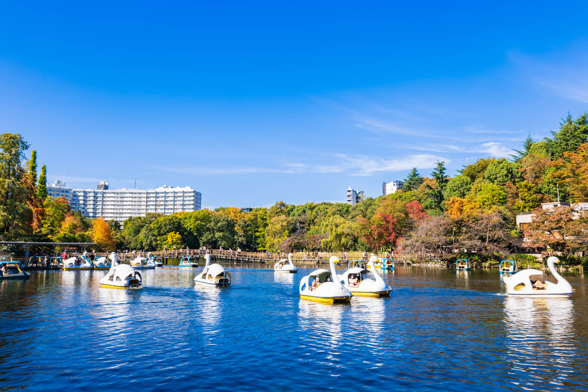 井の頭公園